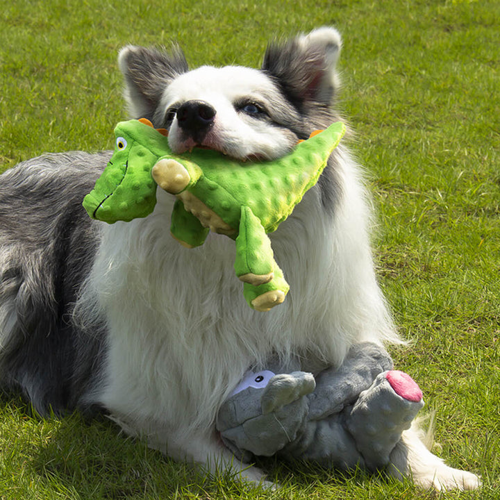 Variety of durable squeaky plush dog toys, including elephant and crocodile designs.