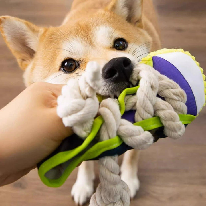 Medium dog pet supplies: tough rubber shoe toy with squeaker for engaging chew time.