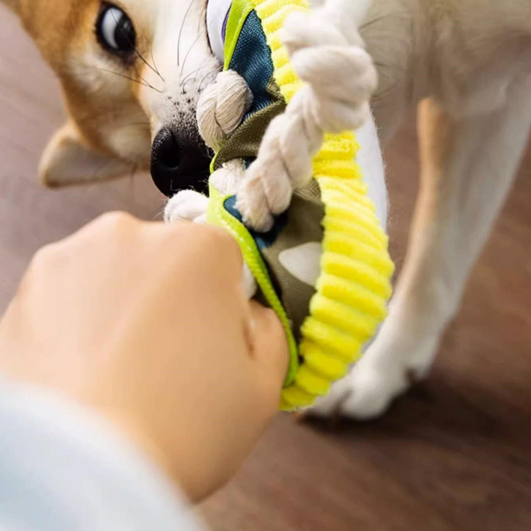 Interactive dog toy for puppies & small breeds: squeaky rubber shoe, promotes healthy play.