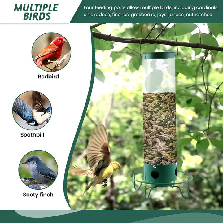 Durable squirrel-proof bird feeder for wild birds, ideal garden & patio decor for bird watching enthusiasts.