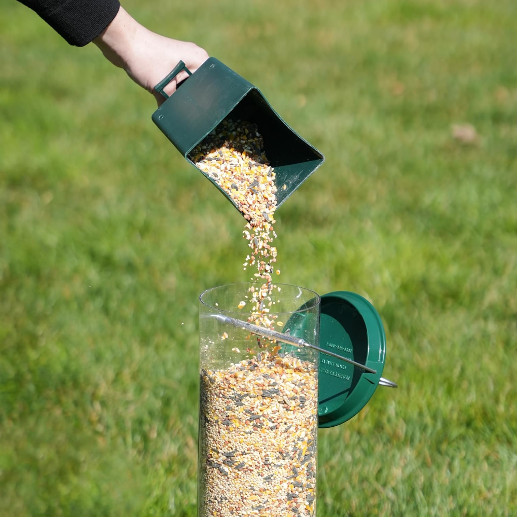 Outdoor squirrel-proof bird feeder in a garden, designed to attract wild birds to your patio while deterring squirrels.