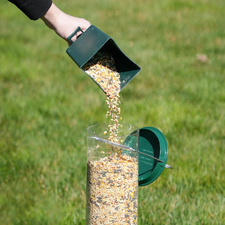Outdoor squirrel-proof bird feeder in a garden, designed to attract wild birds to your patio while deterring squirrels.