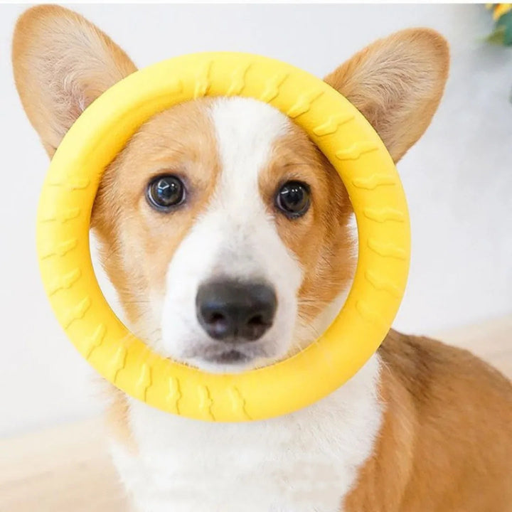 Durable yellow rubber chew ring toy for dogs, perfect for aggressive chewers and dental health.