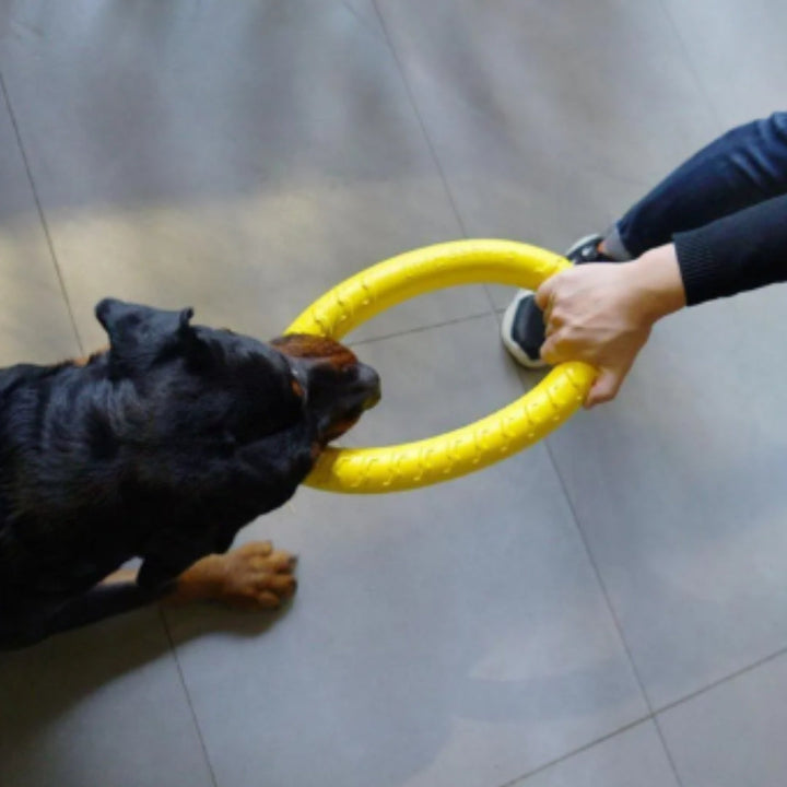 Interactive yellow rubber dog chew ring for pets, designed for long-lasting play and canine dental care.