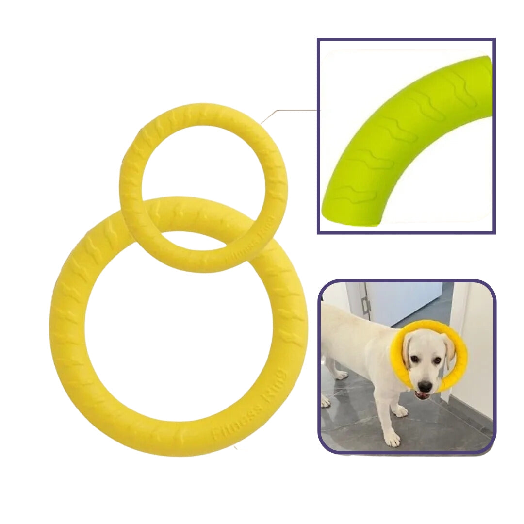 Bright yellow chew ring dog toy made from robust rubber, ideal for active dogs and pet supplies.