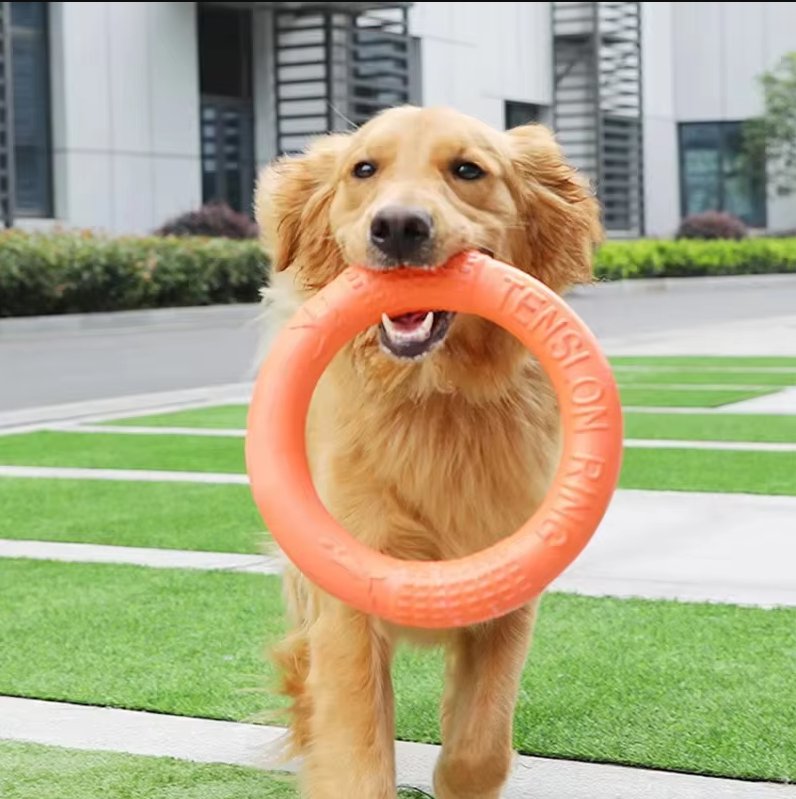 Unisex robust dog toy, a red teething ring for fetching, promoting dental health