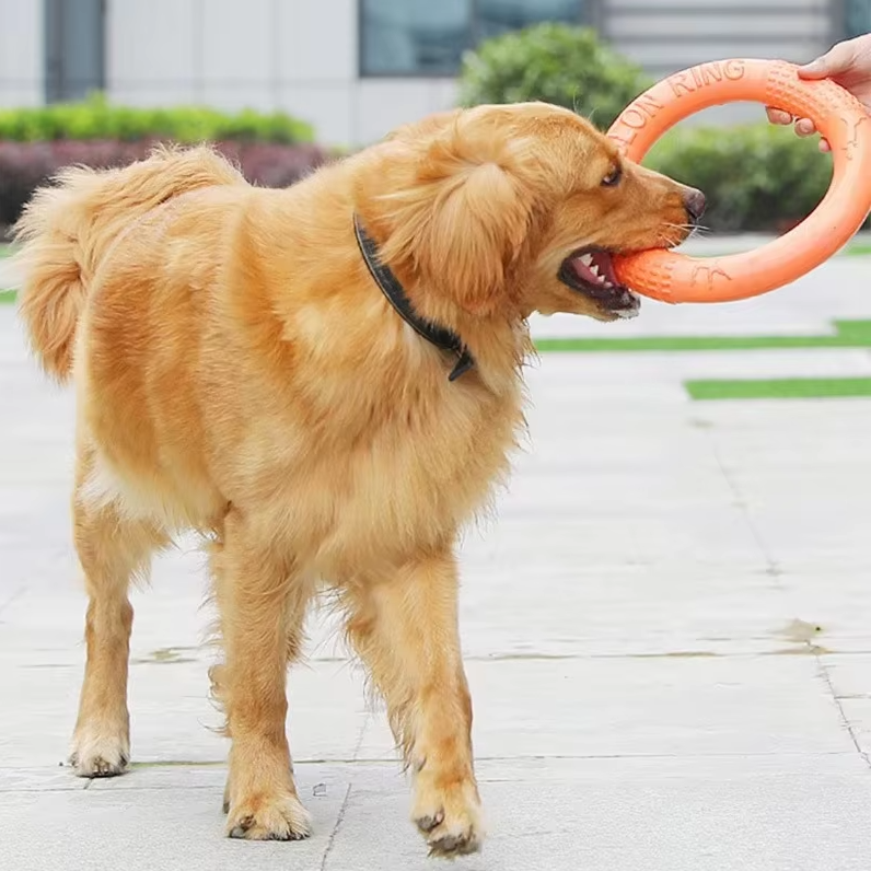 Close-up of a blue robust dog toy, a textured throwing & teething ring for strong chewers