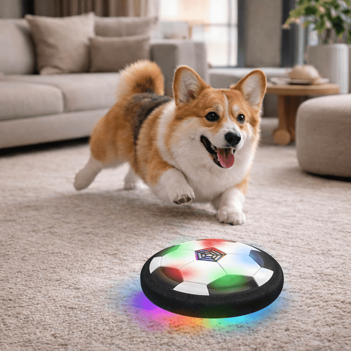 Dynamic CHASESPARK interactive dog toy ball for active play, mental stimulation, and pet enrichment.