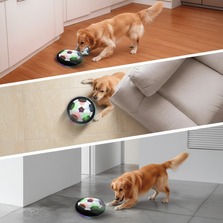 CHASESPARK automatic interactive dog toy ball promoting mental engagement and active pet play for dogs.