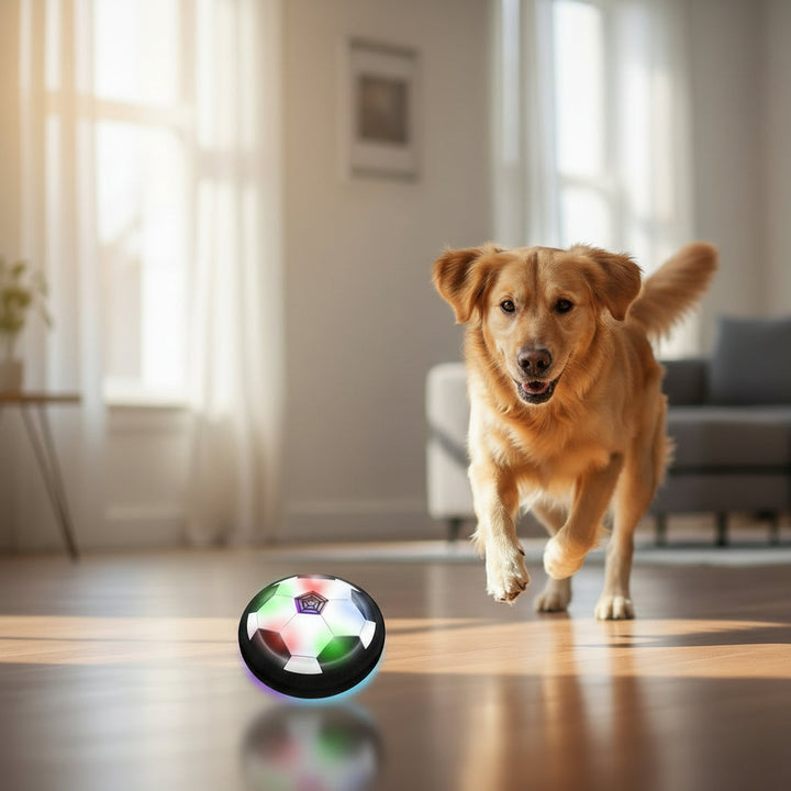 Close-up of CHASESPARK dynamic dog toy ball, ideal for mentally stimulating active dogs and puppies.