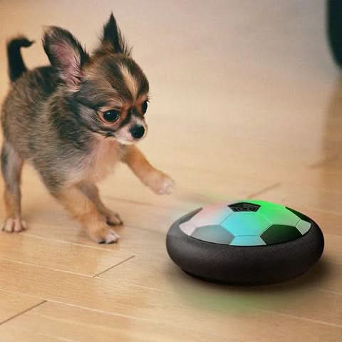 CHASESPARK interactive dog toy ball, durable for pet play and mental enrichment for active dogs.