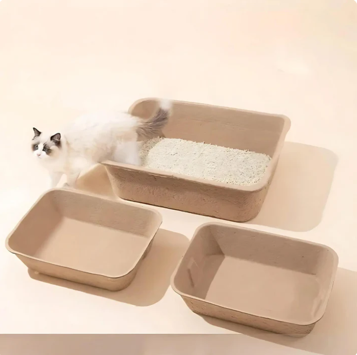 Biodegradable litter box, a sustainable cat care solution for an environmentally conscious home.