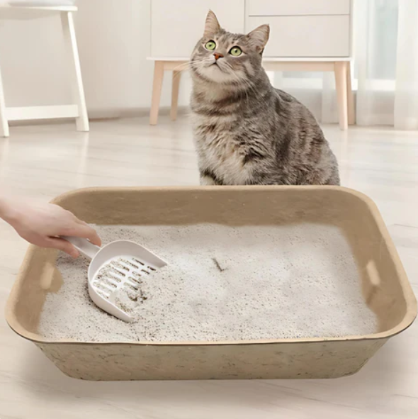Modern, sustainable pet hygiene solution: a biodegradable cat litter box for responsible cat owners.