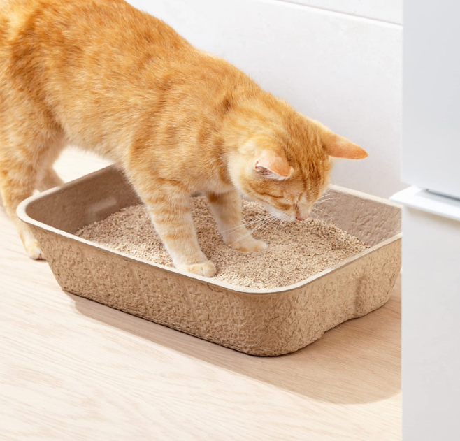 Biodegradable cat litter box, showcasing its durable yet eco-friendly construction for daily use.