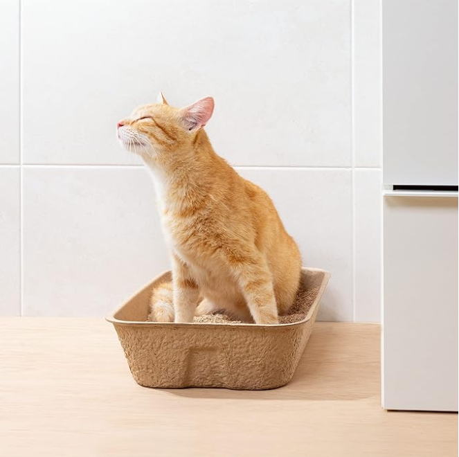 Empty biodegradable litter box, ready for use, promoting eco-friendly cat care and pet hygiene.