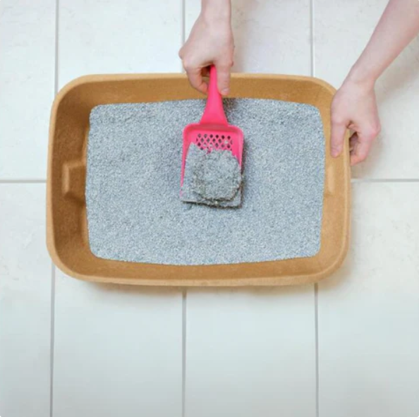 Stylish biodegradable cat litter box, a clean and sustainable addition to any pet-friendly home.