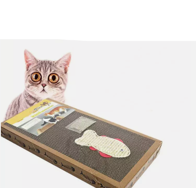 Unisex cat scratching mat featuring a fun fish toy, perfect pet accessory for felines