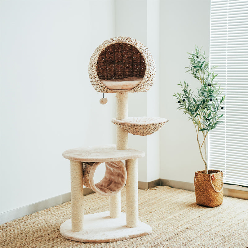 Eco-friendly cat scratching post with natural fiber rope & washable cushion, perfect for active cats