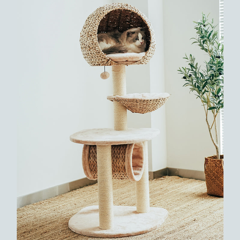 Durable cat scratching post with a cozy, washable top cushion, promoting healthy claw care for felines