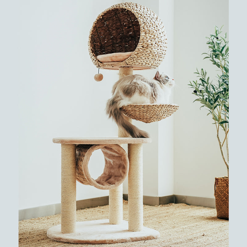 Sustainable cat tree with scratching post & soft, removable cushion, an interactive pet furniture piece