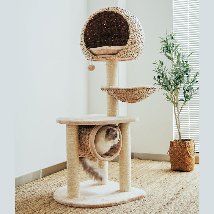 Tall cat scratcher with a sturdy base, natural fibers & a plush, washable cushion for ultimate comfort