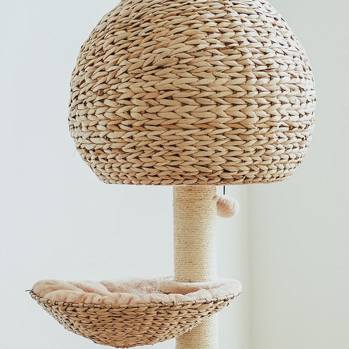 Environmentally friendly cat scratching post with a neutral design & easily washable top pet cushion