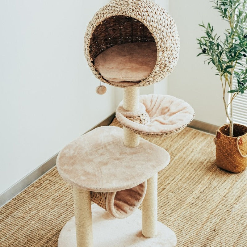 Premium pet scratching post made from natural materials with a replaceable and washable cushion