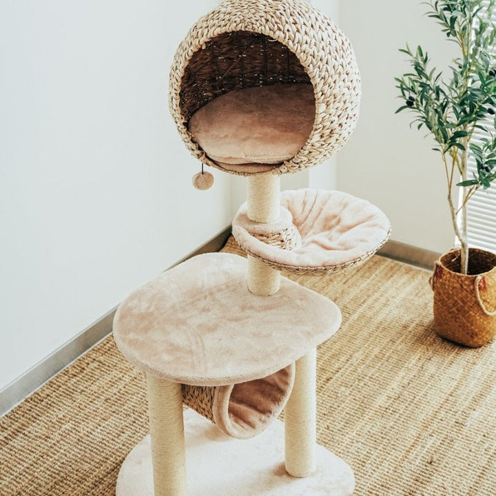Premium pet scratching post made from natural materials with a replaceable and washable cushion