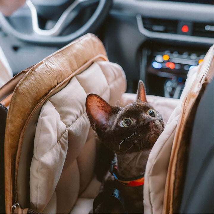 Pet travel crate with cozy interior for anxiety-free journeys, ideal for cats & tiny dogs