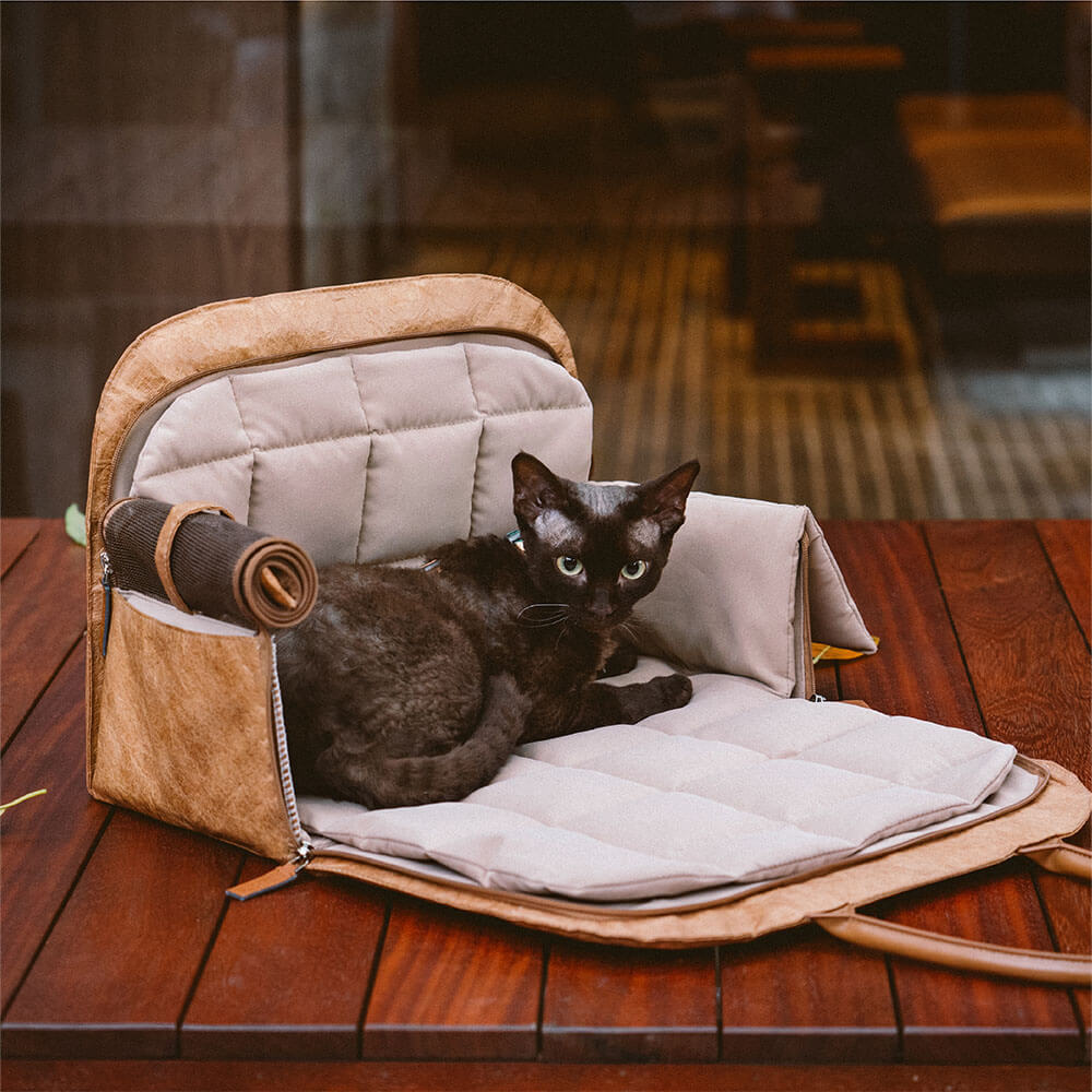 Eco-friendly pet travel solution, expandable for comfort during airplane or car trips