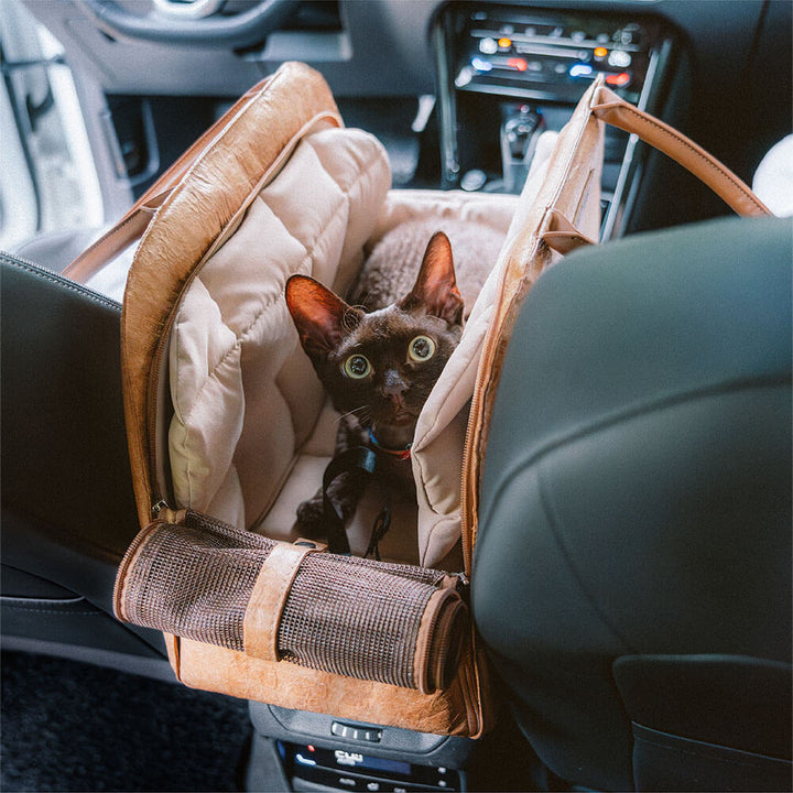 Modern eco-friendly pet travel carrier, perfect for urban pet owners