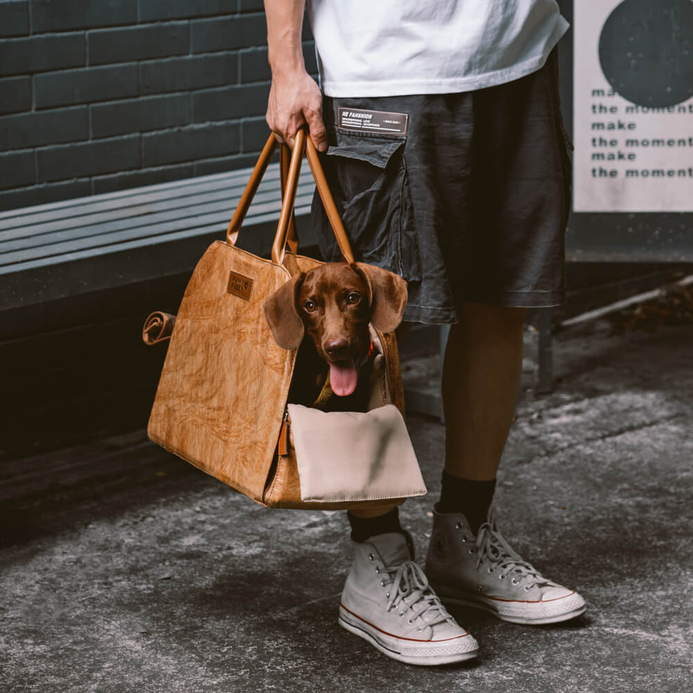Stylish eco-friendly pet travel carrier with mesh windows for dog or cat