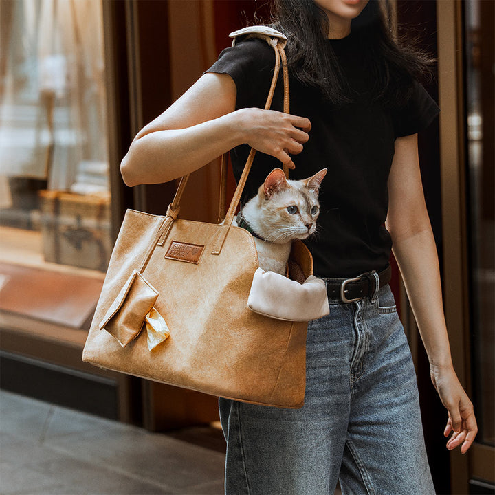 Durable eco-friendly pet carrier for car travel and airline use