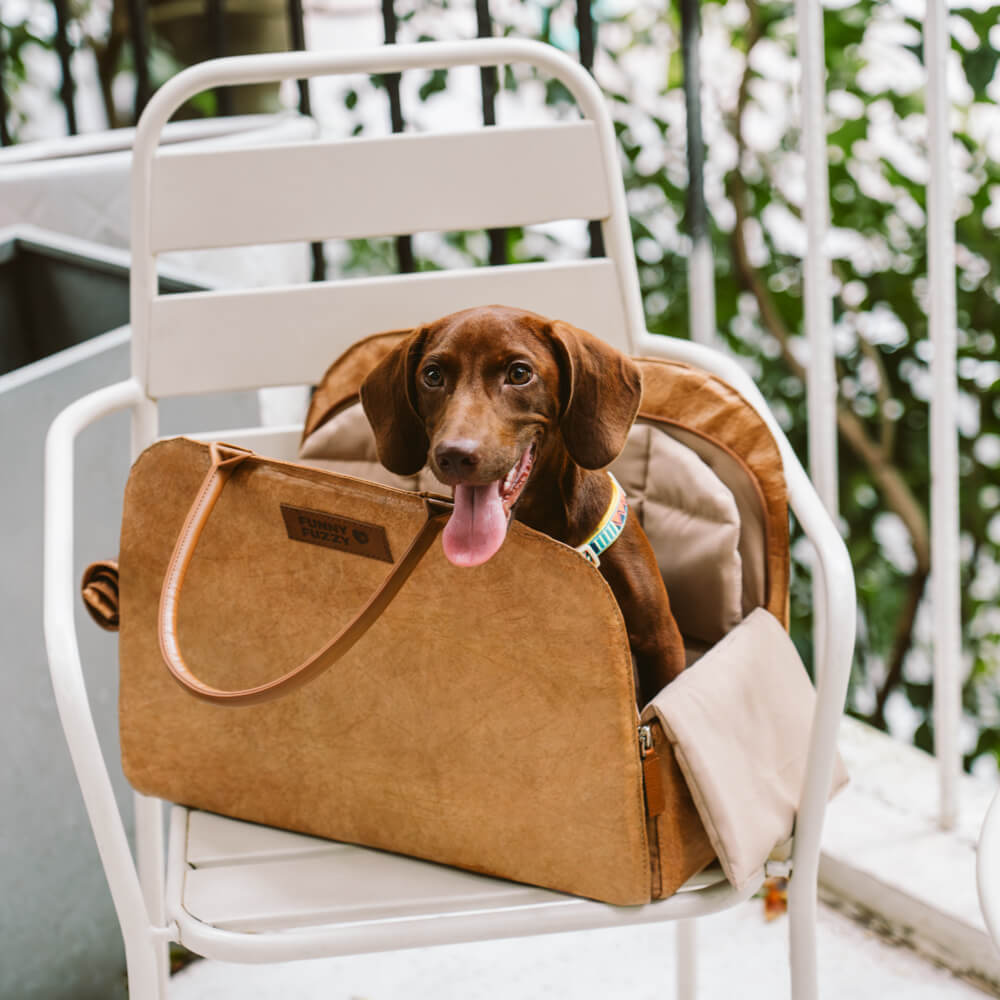 Black unisex eco-friendly pet travel carrier for secure pet transport