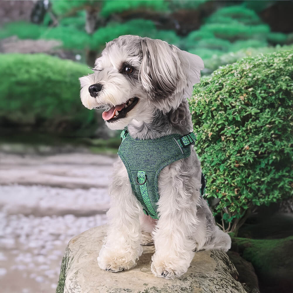 Eco-friendly recycled fabric no-pull dog harness with matching leash, adjustable for comfort and safety.