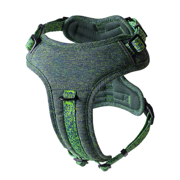 Small dog comfortably fitted in an adjustable eco-friendly recycled fabric no-pull harness and leash.