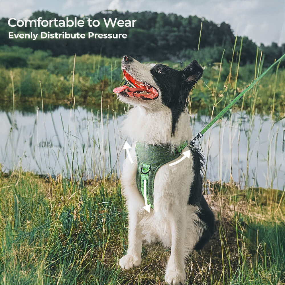 Unboxing an eco-friendly no-pull dog harness and leash made from sustainable recycled fabric.