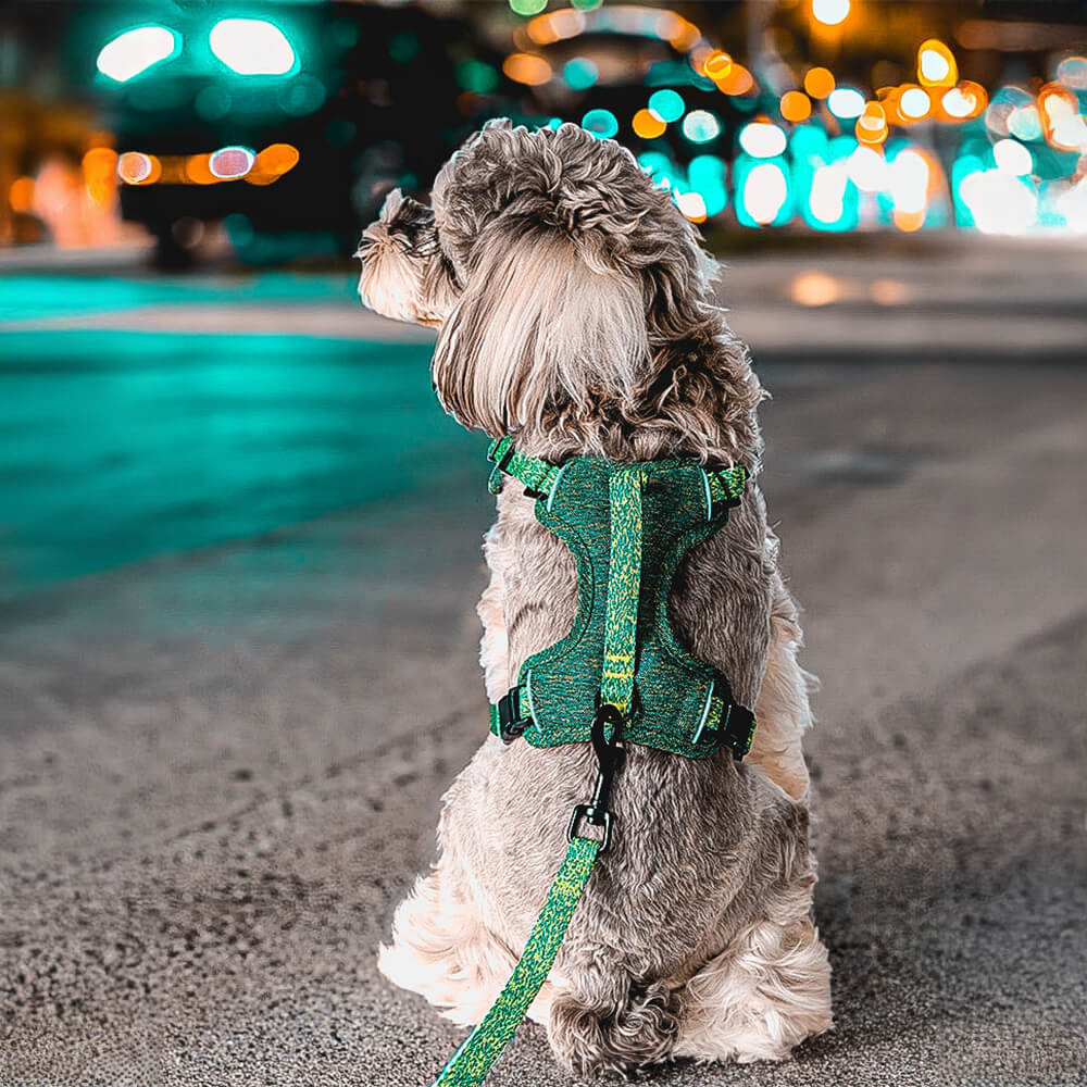 Happy dog wearing a green eco-friendly recycled fabric no-pull harness and leash, comfortable and safe.