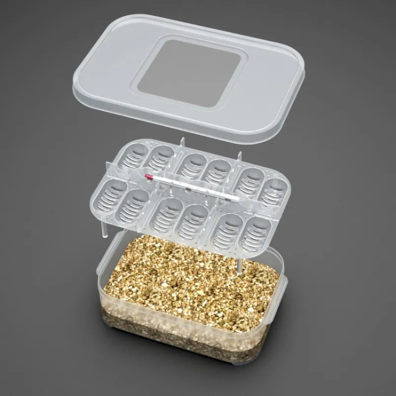 Compact small item storage box with integrated thermometer for home organization and temperature control.