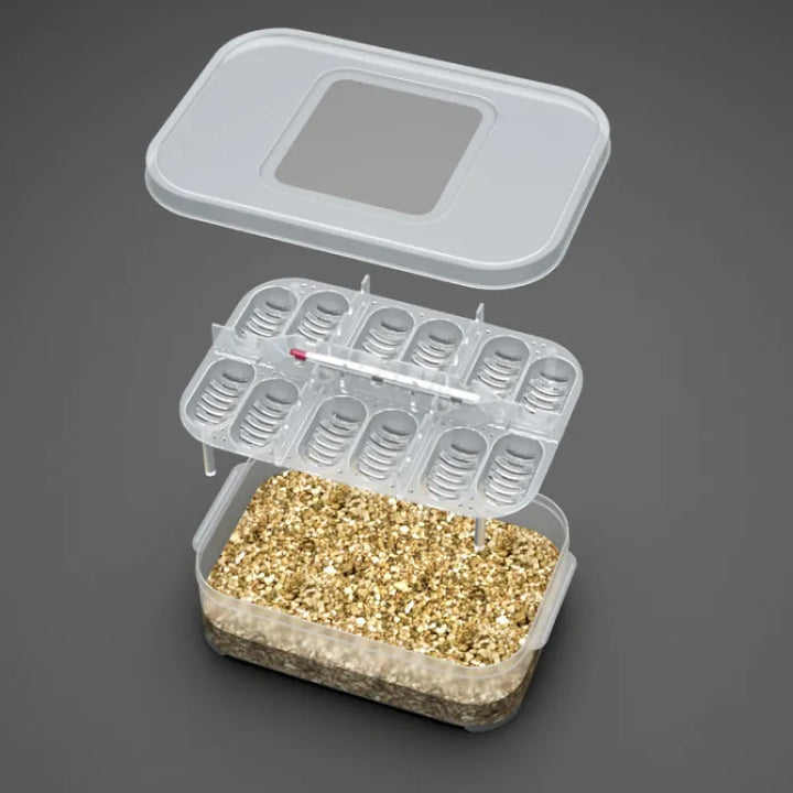 Compact small item storage box with integrated thermometer for home organization and temperature control.