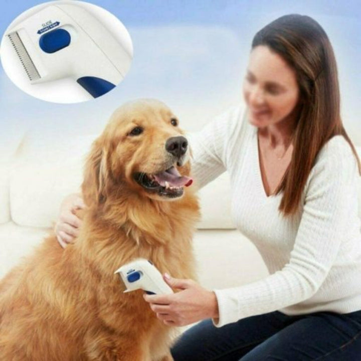 New4 electric flea comb for effective pet grooming and flea treatment.
