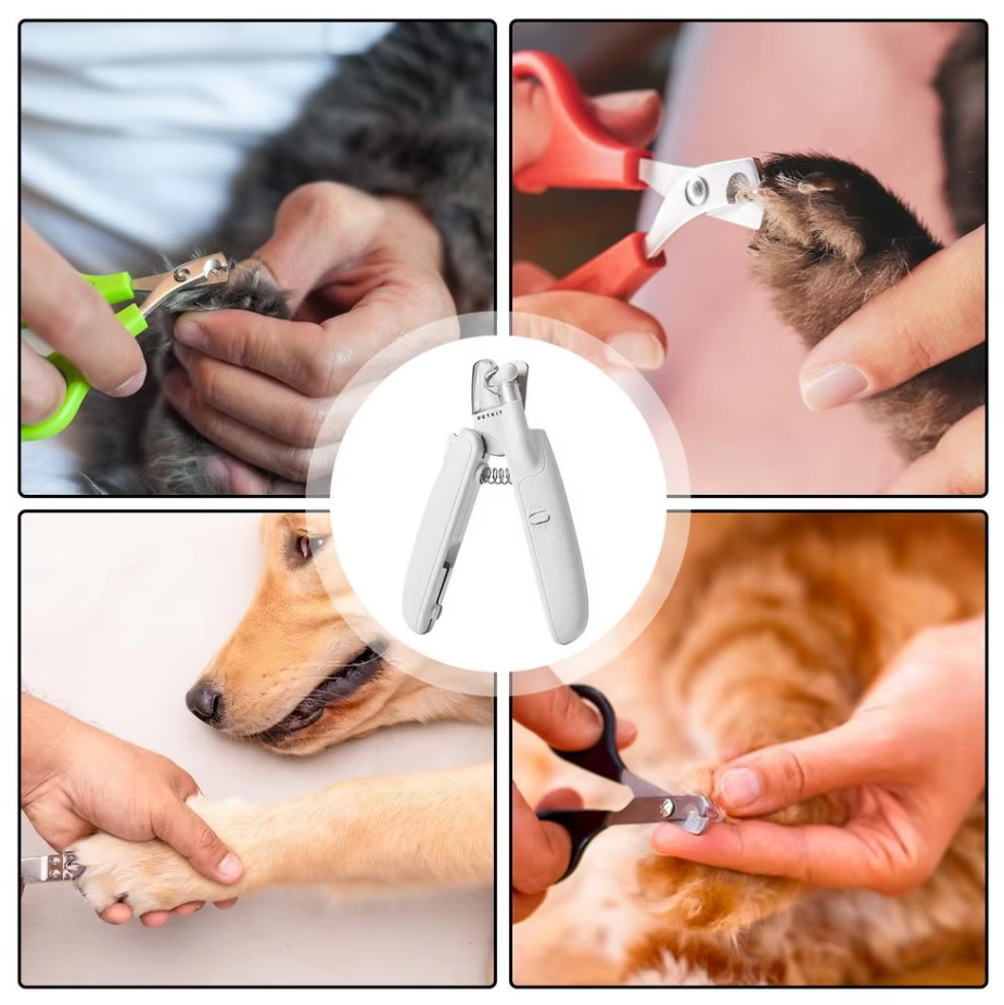 Close-up of electronic pet nail trimmer with a protective cap, ideal for safe dog paw care.