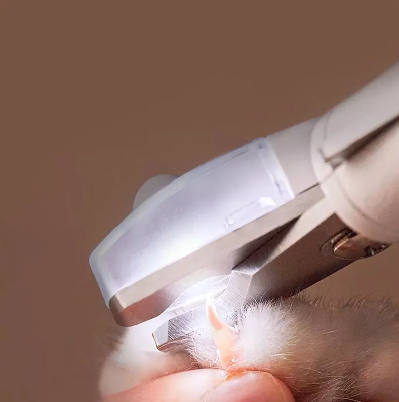Portable electronic nail grinder for pets, essential for convenient dog and cat paw maintenance.