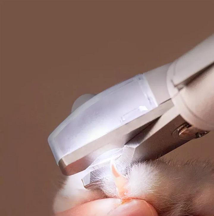 Portable electronic nail grinder for pets, essential for convenient dog and cat paw maintenance.