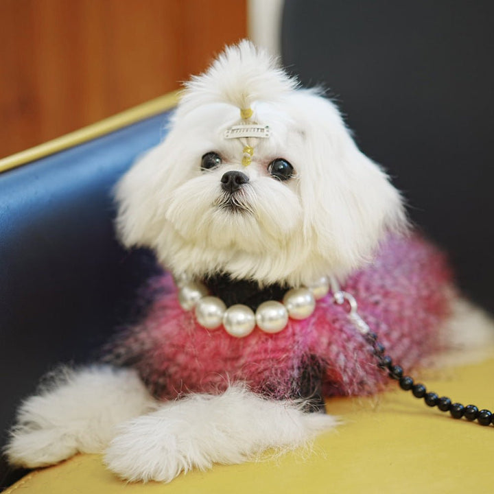 Stylish pet pearl necklace accessory for medium dogs, perfect for pet fashion and special occasions