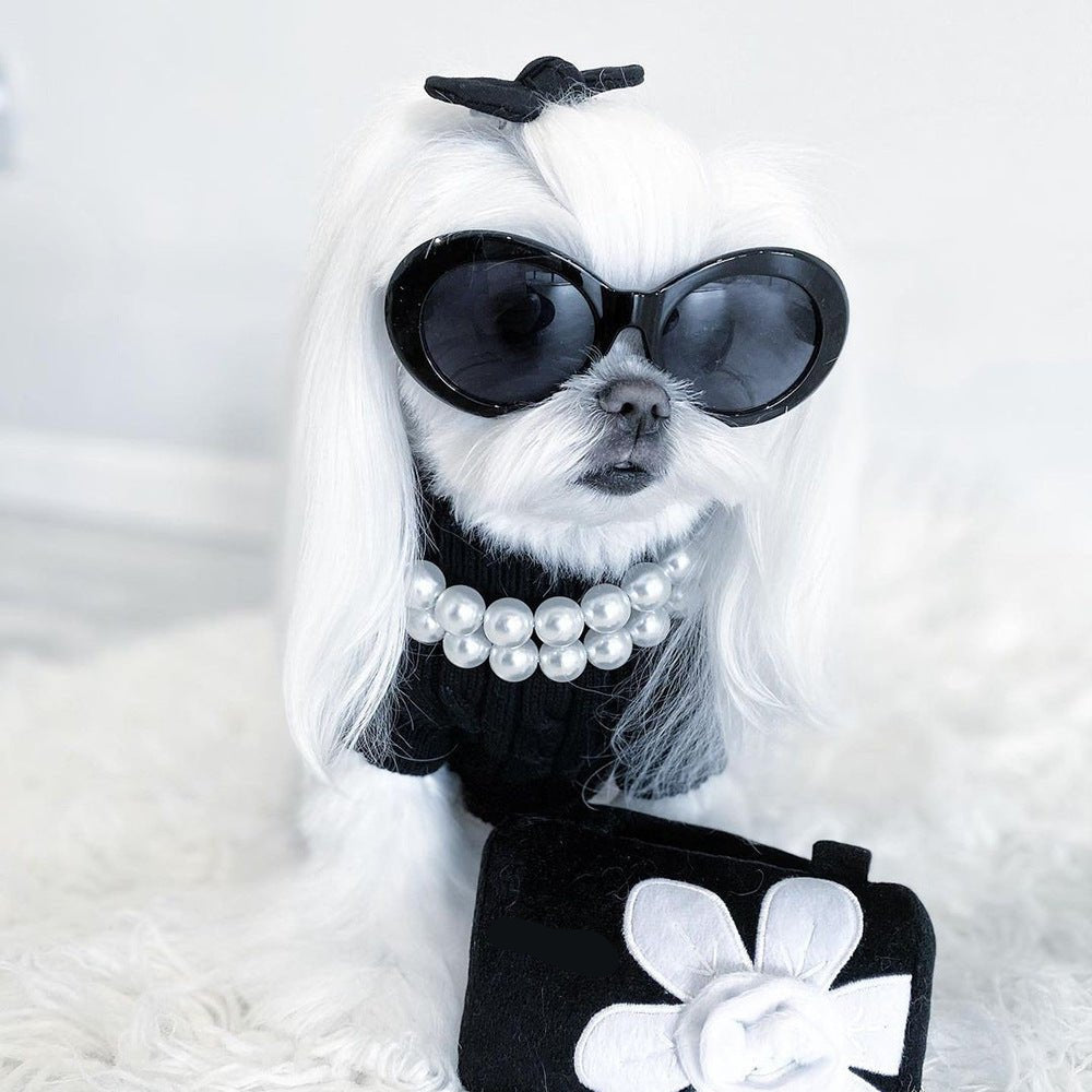 Fashionable dog jewelry: a pearl beaded necklace for pets, enhancing their elegant pet accessory collection