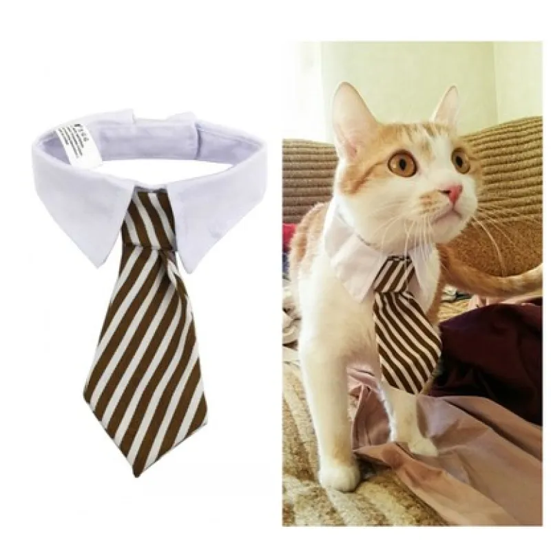Elegant red bow tie pet collar for dogs and cats, front view, for stylish pets.
