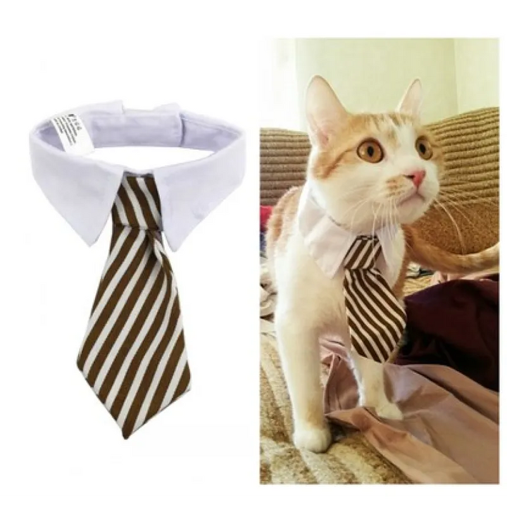 Elegant red bow tie pet collar for dogs and cats, front view, for stylish pets.