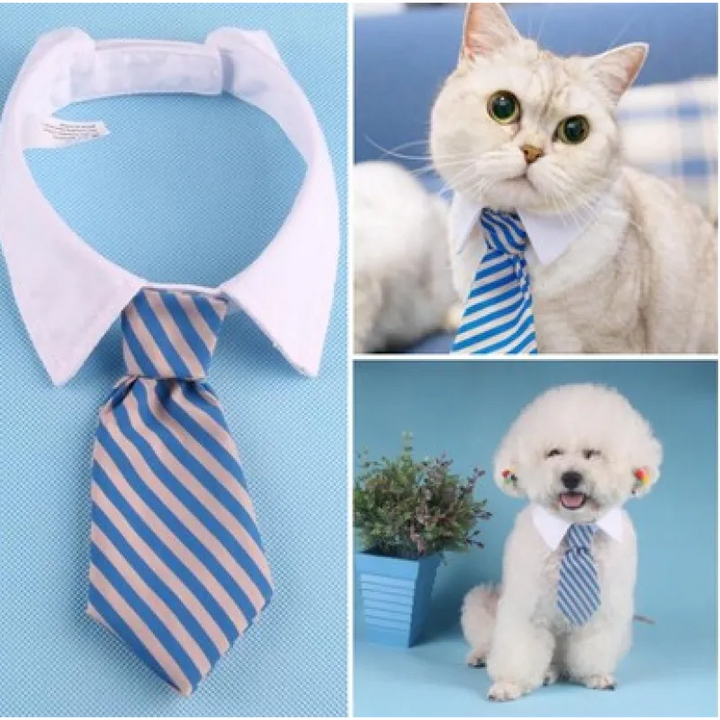 Green plaid bow tie pet collar, perfect for special occasions, elegant pet accessory.
