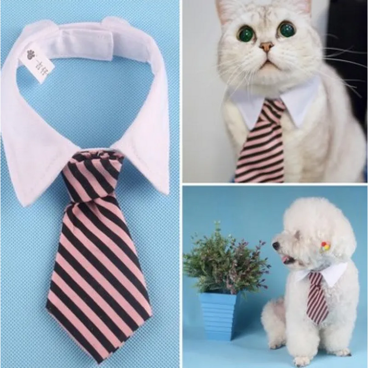 Cute yellow floral bow tie pet collar on a tabby cat, showcasing pet fashion.
